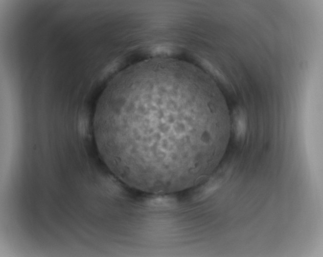 X0000113050619200909031333