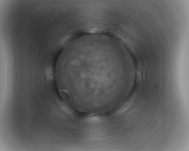 X0000113050620200909031333