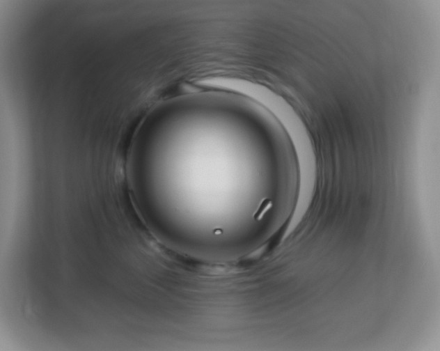 X0000113050621200909031333