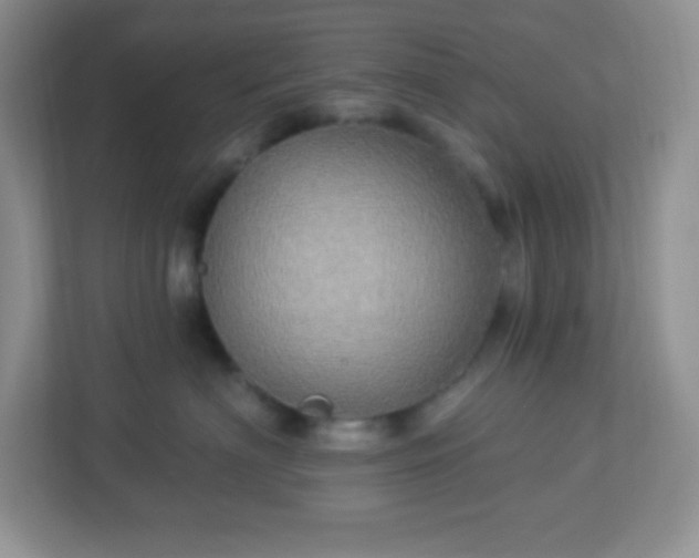 X0000113050622200909031333