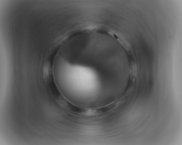 X0000113050623200909031333