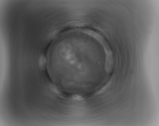 X0000113050624200909031333