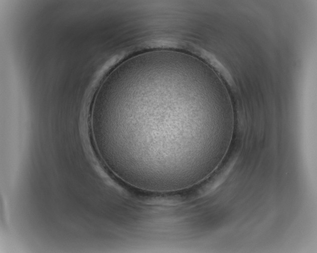 X0000113050625200909031332