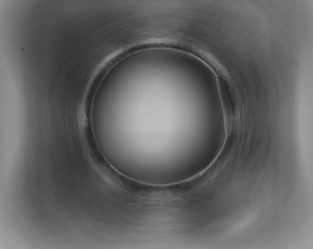 X0000113050628200909031332