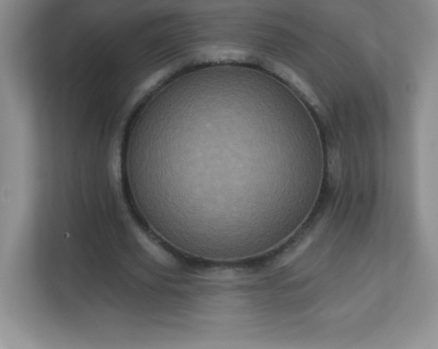 X0000113050629200909031332