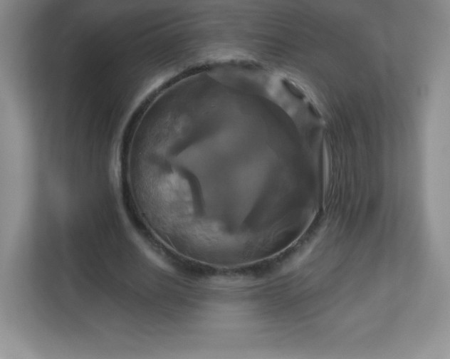 X0000113050630200909031332