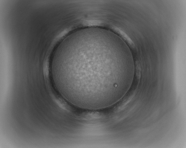 X0000113050631200909031332