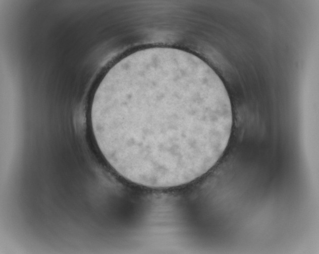 X0000113050632200909031332