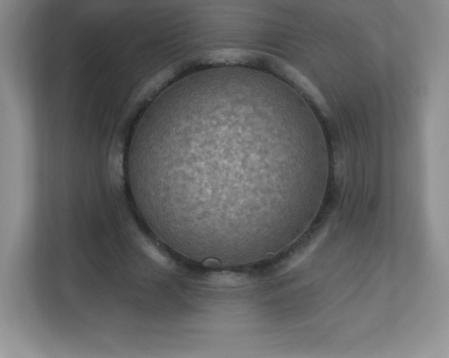 X0000113050633200909031332