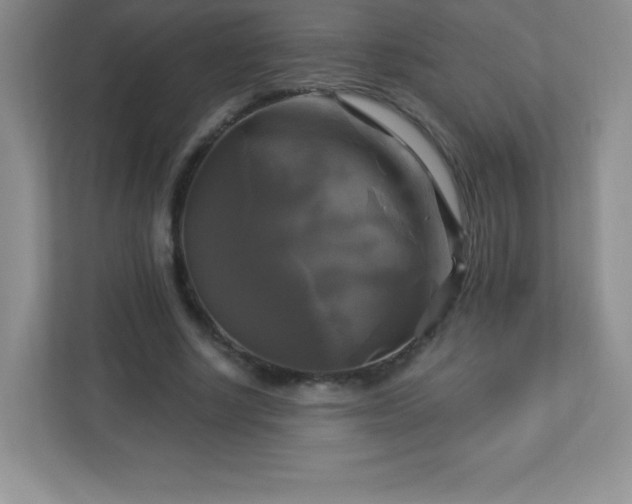 X0000113050634200909031332