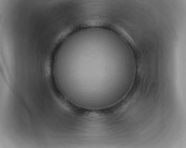 X0000113050635200909031332