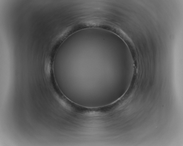 X0000113050637200909031332