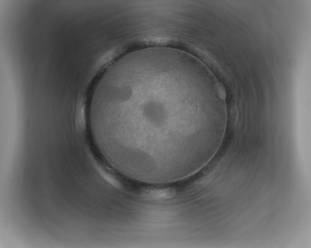 X0000113050638200909031332