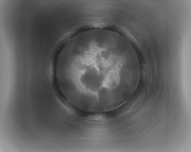 X0000113050639200909031332