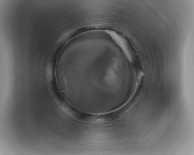 X0000113050640200909031332