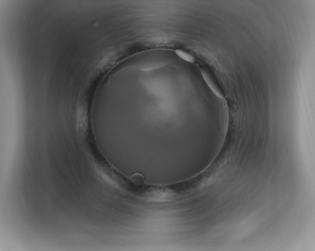 X0000113050642200909031332