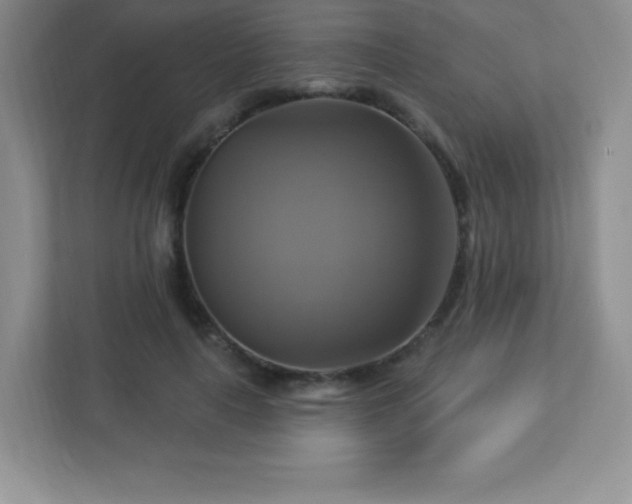 X0000113050643200909031333