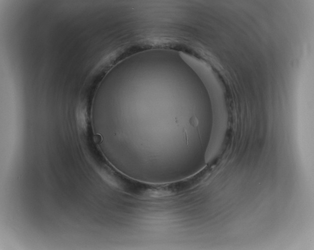 X0000113050644200909031333