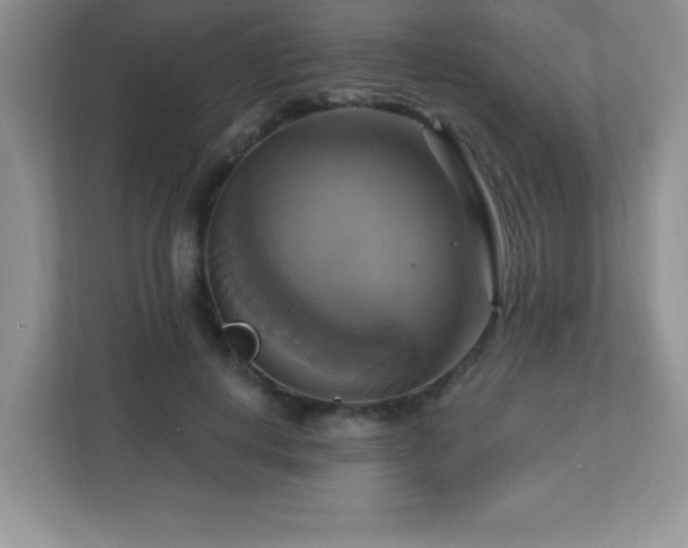 X0000113050648200909031333