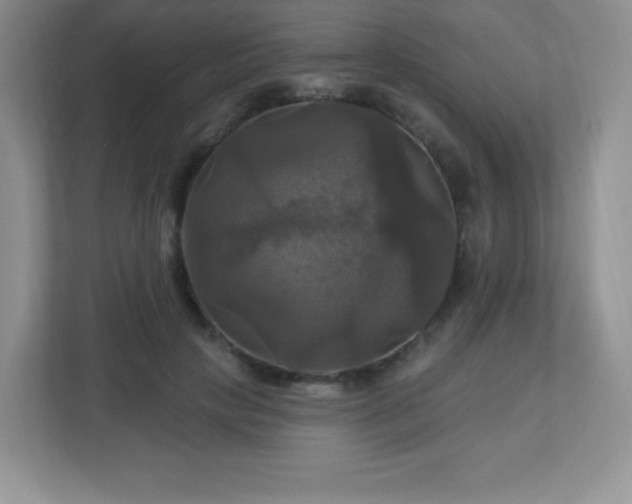 X0000113050649200909031333