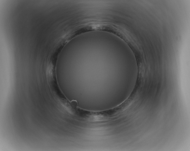 X0000113050650200909031333