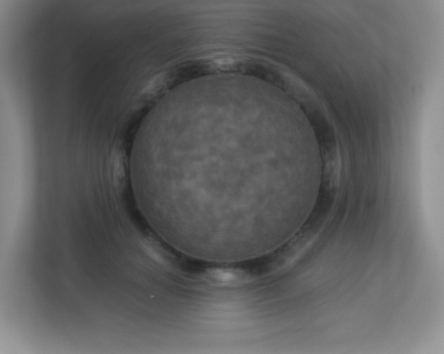 X0000113050654200909031333