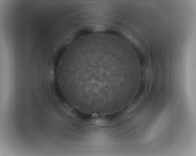 X0000113050655200909031333