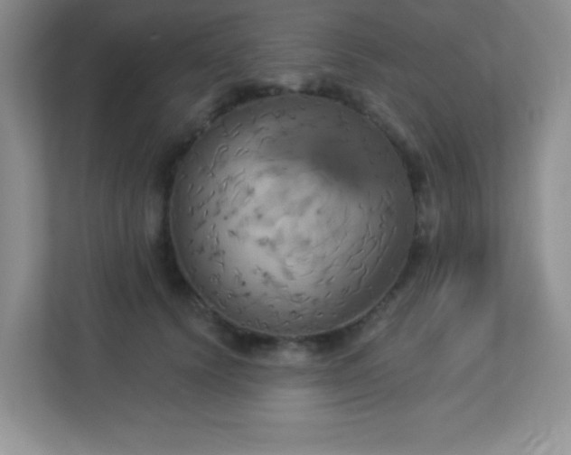 X0000113050656200909031333