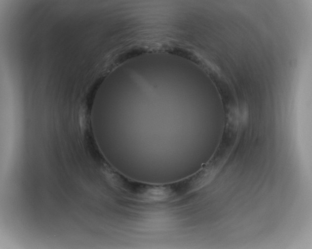 X0000113050659200909031333