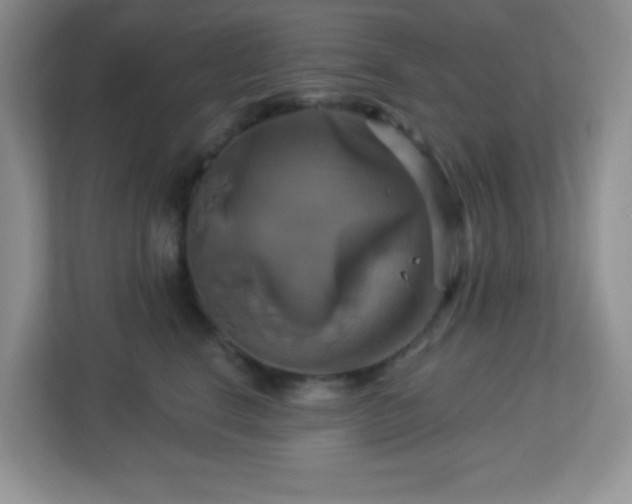 X0000113050664200909031333