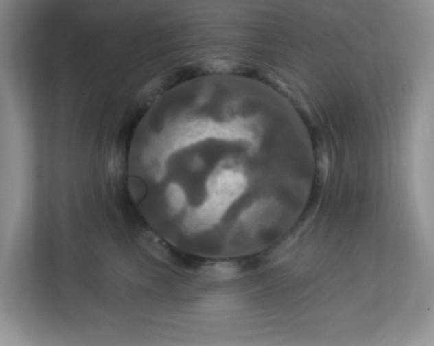 X0000113050665200909031333