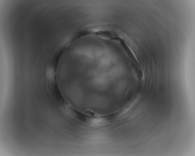 X0000113050669200909031333