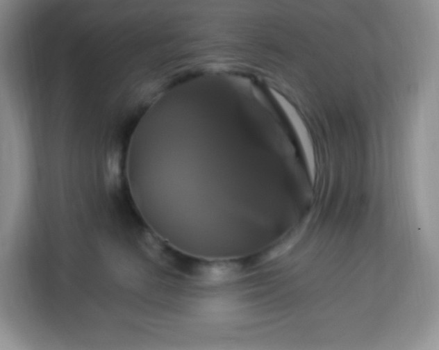 X0000113050670200909031333