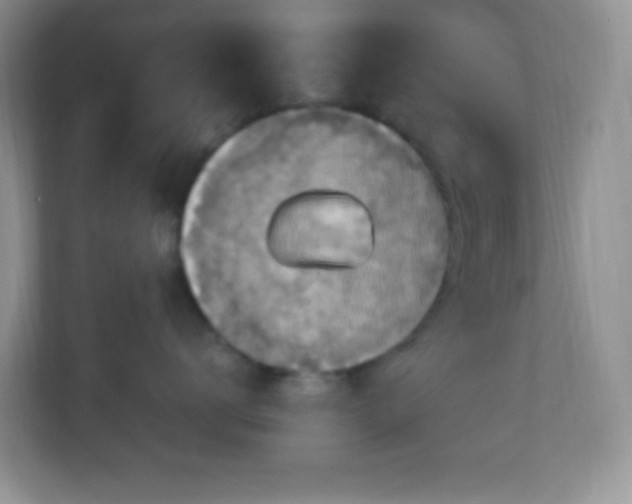 X0000113050672200909031333