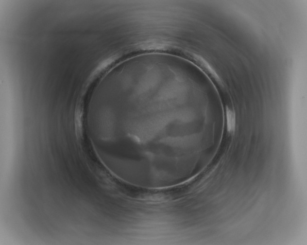 X0000113050675200909031332