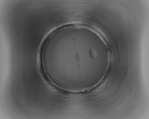 X0000113050676200909031332