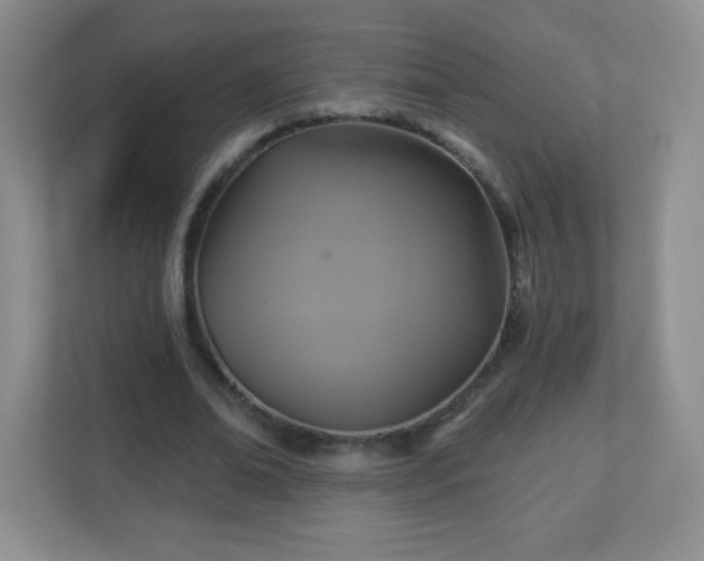 X0000113050678200909031332