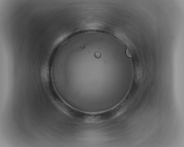 X0000113050680200909031332