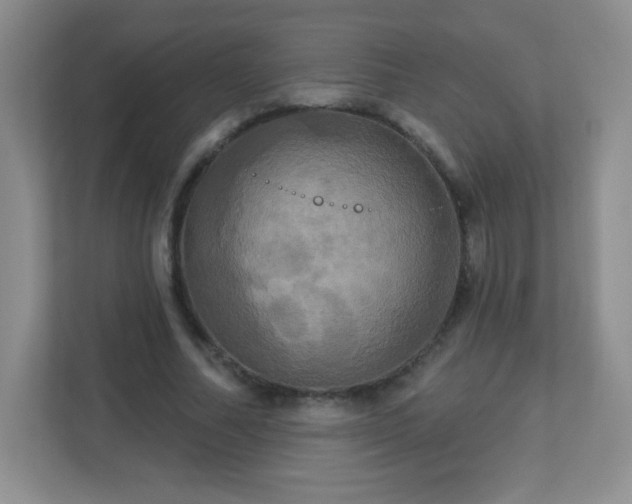 X0000113050682200909031332