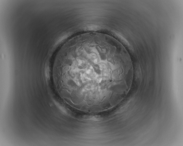 X0000113050683200909031332