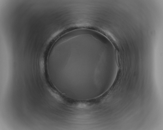 X0000113050684200909031332