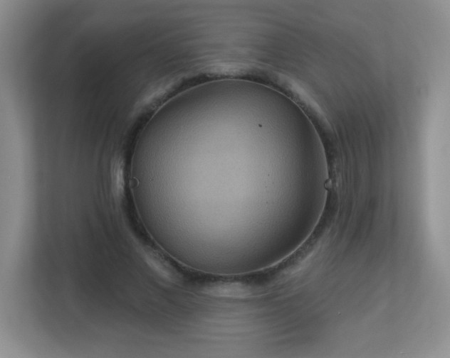 X0000113050685200909031332