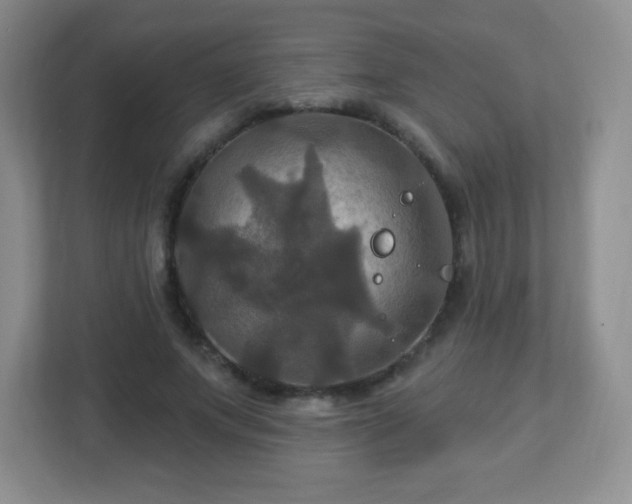 X0000113050687200909031332