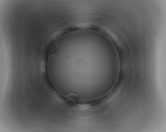 X0000113050689200909031332