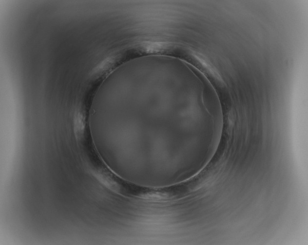 X0000113050691200909031332