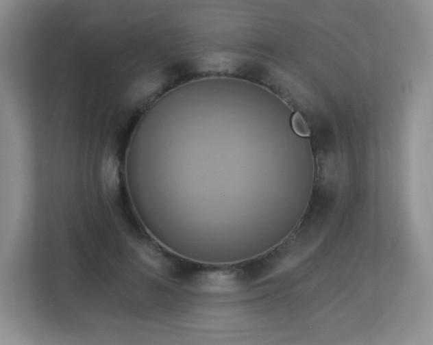 X0000113050692200909031332