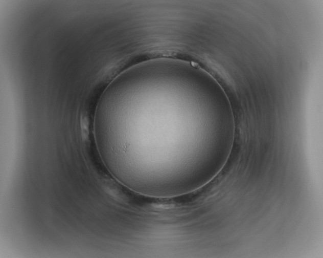 X0000113050693200909031332