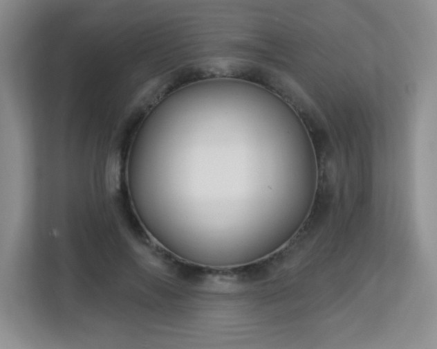 X0000113050694200909031332