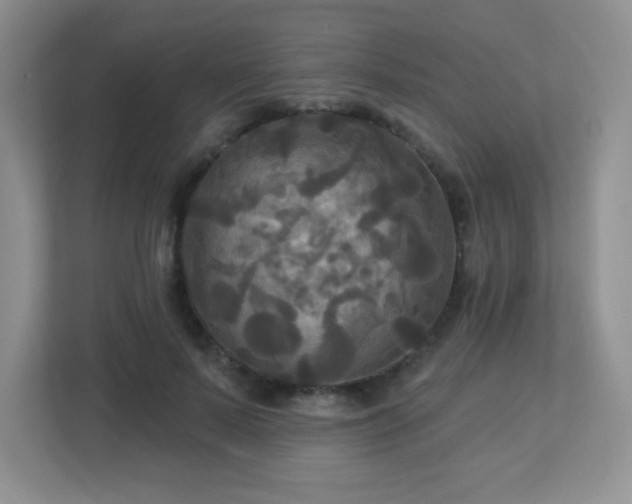 X0000113050695200909031332