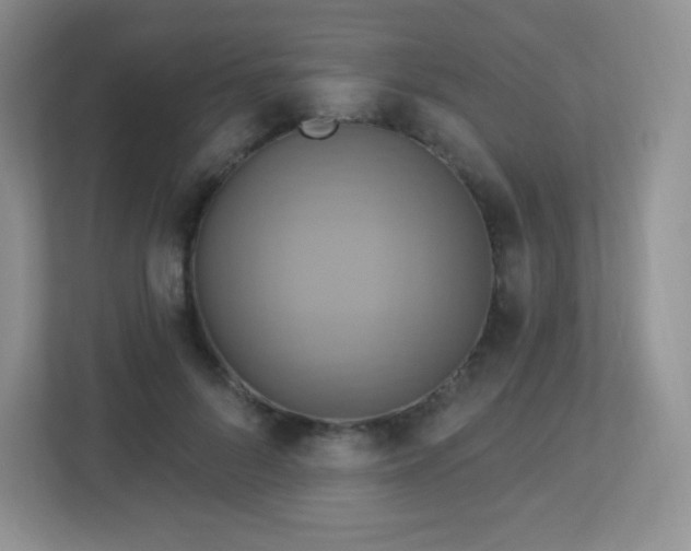 X0000113050696200909031332